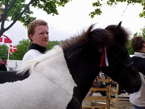 Islænder Hrafndis frá Árbakka - 4. jun. 2005 Man kan lige ane min røde 1ste. præmie sløjfe under manen :-) billede 11