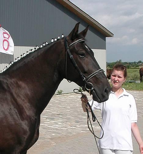 Oldenborg Bessie af Bækkeskov - Fra d. 31. juli 2005 - Bessie viser sig frem fra sin smukkeste side billede 6