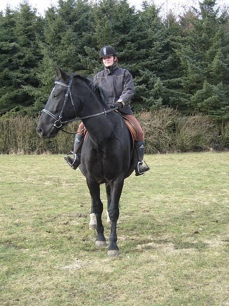 Oldenborg Bessie af Bækkeskov - Fra d. 4. marts 2006 - Bessie og Julie på tur billede 7