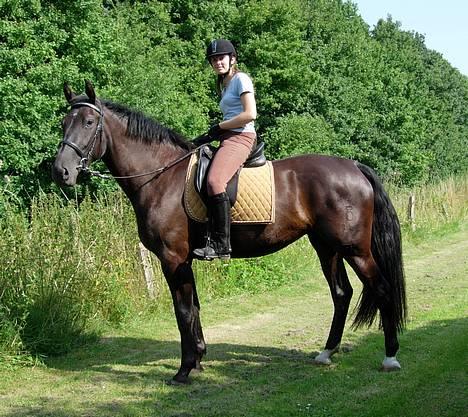 Oldenborg Alexia af Vodagergård - Fra d. 28. juli 2005 - Alexia på besøg hos Julie, så mor Lis tog lige et billede :-) billede 3