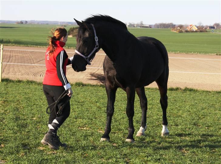 Oldenborg Bell af Vodagergård - *NYT* Fra d. 10. april 2009 - Julie henter Bell på folden billede 7