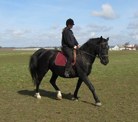 Oldenborg Bessie af Bækkeskov - *NYT* - Fra d. 11. april 2006 - Anja rider dressur på Bessie på folden billede 8