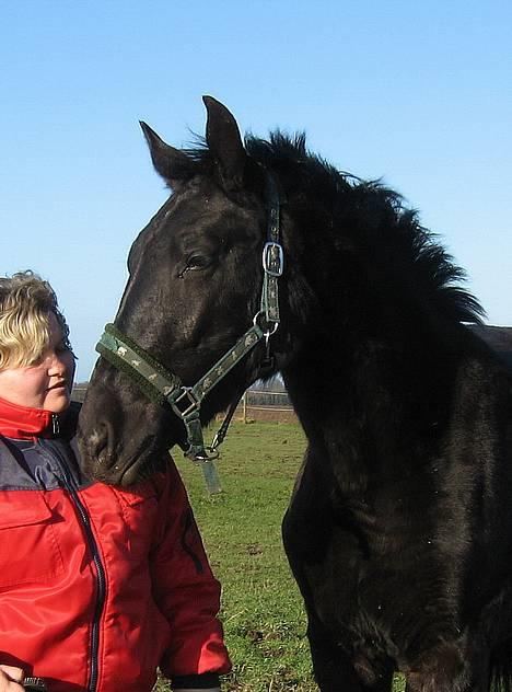 Oldenborg Cleo af Vodagergård - Fra d. 3. februar 2007 - Cleo og Pia på folden  billede 2