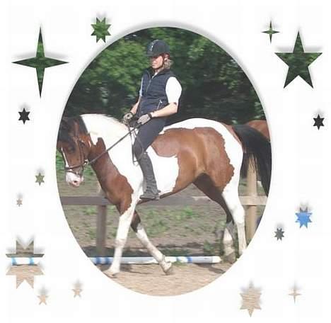 Pinto Isabaue - Her rider Sofie også Isabaue uden sadel... billede 3