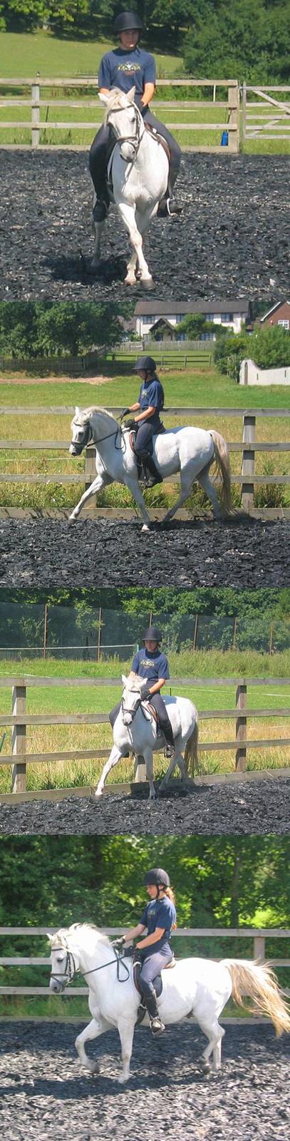 Welsh Pony (sec B) Lyngvejens Agent - Min lillesøster Isabella og Agent arbejder på banen, 20. August 2005 billede 10