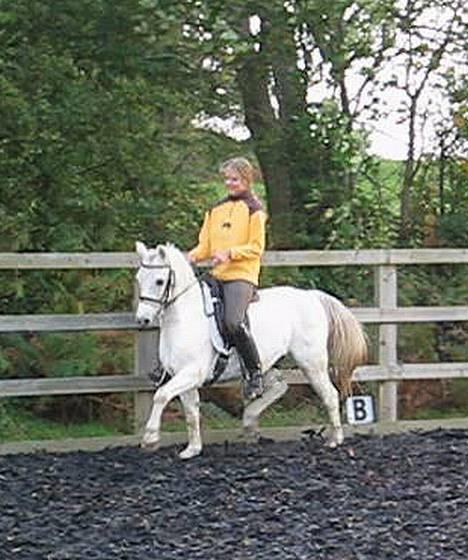 Welsh Pony (sec B) Lyngvejens Agent - 25.10.05  -  pragtfulde lille Grunk blærer sig lidt!  ;-) billede 15