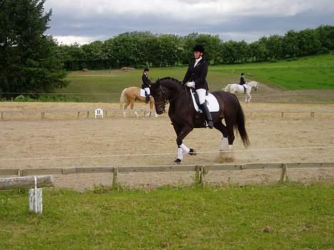 Oldenborg Unette - RIP - - Igen igen BOS billede 7