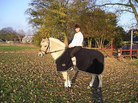 Fjordhest Bonnie af Landly. (SOLGT) - mig og Bonnie d. 30/10-05.. <3 elsk`på dig <3 billede 2