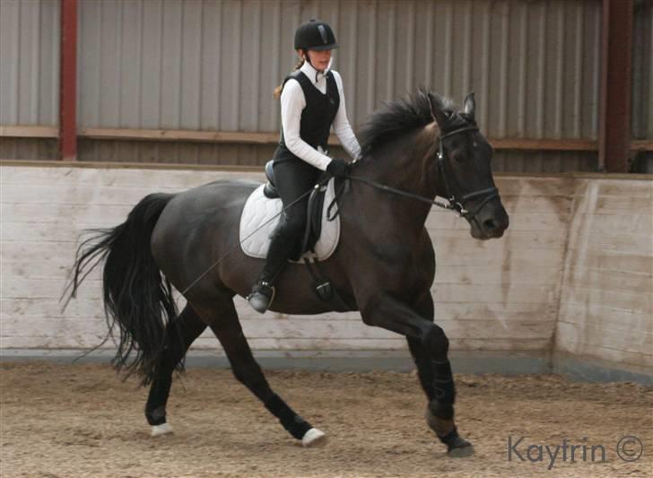 Oldenborg Alexia af Vodagergård - Fra april 2007 - Julie rider Alexia - Billede venligst udlånt af www.kaytrinfoto.dk billede 8