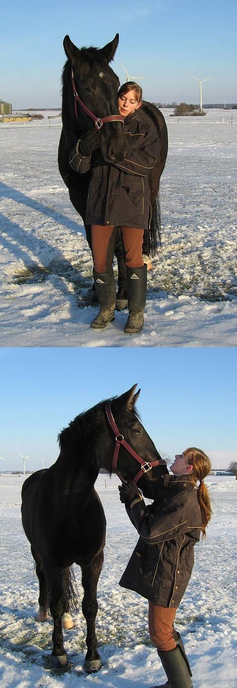 Oldenborg Alexia af Vodagergård - Fra d. 22. januar 2006 - Alexia og Julie nusser lidt ;-) billede 10