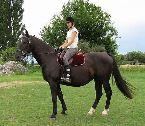 Oldenborg Bessie af Bækkeskov - Fra d. 31. juli 2005 - Kathrine og Bessie tuller lidt rundt på folden efter følskuet :-) billede 9