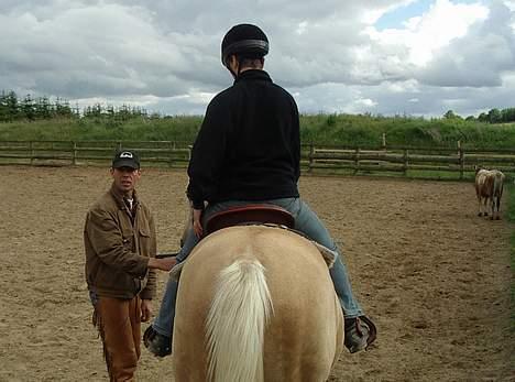 Dansk Varmblod Jackpot - Træner Brian: Slip tøjlen - du skal bare lade Jackpot vise vej  billede 10