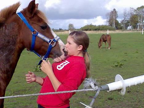 Anden særlig race Zoffi(Solgt) - Et lille kkys<33 billede 10