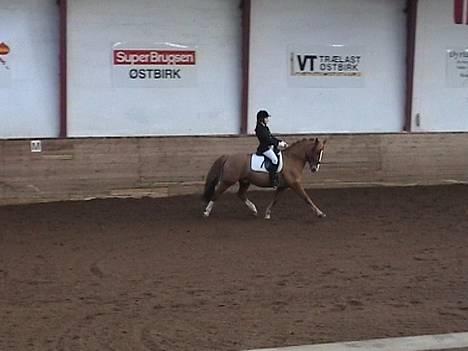 Anden særlig race Jonas R.I.P. :( billede 9