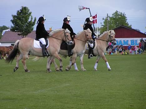 Fjordhest Rita - det fynske dyrskue 2005 billede 14