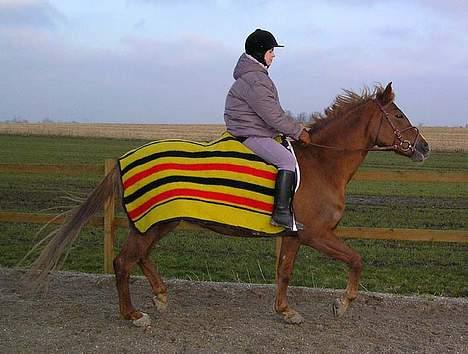 Sportsaraber (A) BeautY - UDE og ride sku. . . heeh hun er super god. .  (det er jeg ike :() billede 8