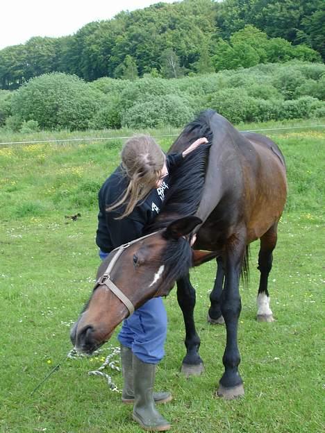 Oldenborg Belinda - Nøj det er dejligt at blive kløet. Tak Lotte. :o) Juni 05 billede 16