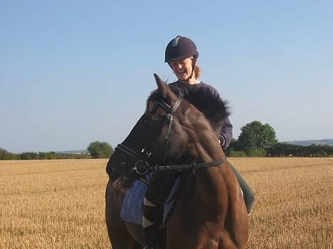 Anden særlig race Stella  - en af de sidste dage jeg ahvde hende, række række tunge billede 12