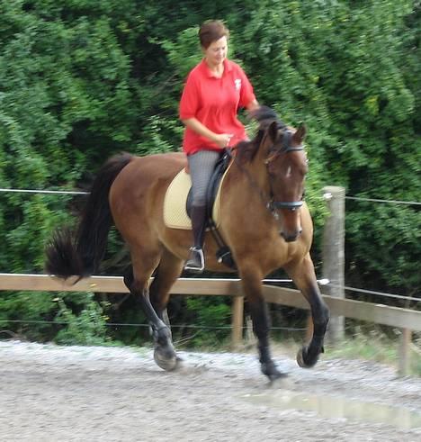 Anden særlig race Felix Julius - Fra d. 20. august 2006 - Tines underviser i Odense, Stine, rider lidt på Felix billede 2