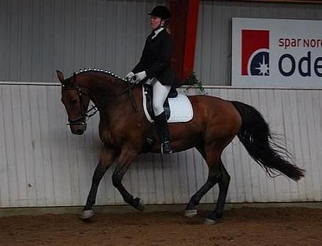 Anden særlig race Felix Julius - Fra d. 17. september 2006 - Mia og Felix til stævne billede 5