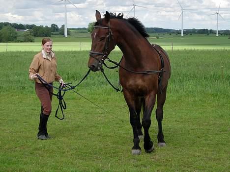 Anden særlig race Felix Julius - Fra d. 12. juni 2005 - Julie longerer Felix. billede 19