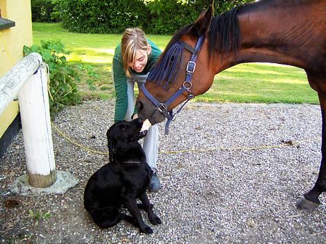 Traver Virina T - Nåååh er de ikke søde.. :) Laika og Virina deler et brød billede 6
