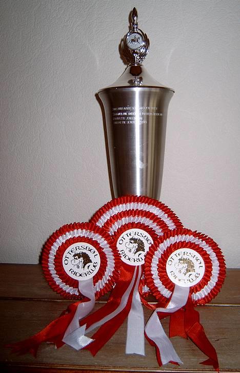 Arabisk fuldblod (OX) Chena OX 1920 *DØD †* - Klubmester 2006 med 88,72% i LC2 -> lidt urealistisk ;0) billede 8