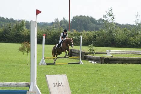 Anden særlig race Tessa(Greta) * SOLGT* :'( - Til sprinq stævne i Tinqlev, vi fik en 4 plads . 26/8 06 billede 4