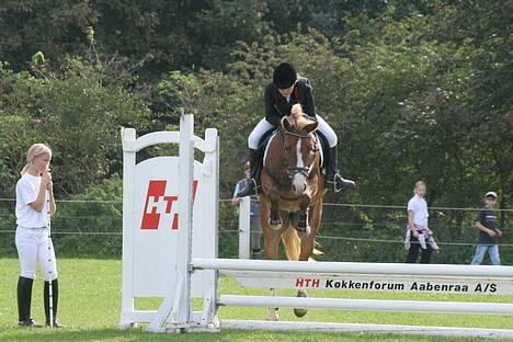 Anden særlig race Tessa(Greta) * SOLGT* :'( - stævne i padborq billede 7
