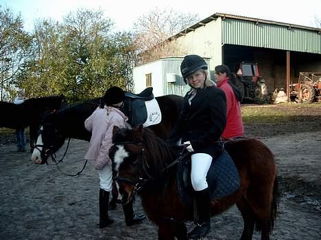 Anden særlig race Sera. R.I.P 2-9-10 - Miq oq Sera til stævn e ..  billede 6