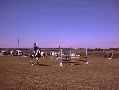 Paint † Cherokee siggaard † billede 5