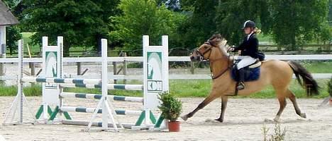 Anden særlig race Bianca  SOLGT ;) - Mie sabroe jelle og bianca til stævne på hsk 19 juni Lc hest billede 16
