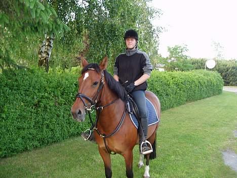 Oldenborg Sille billede 9