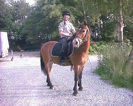 Anden særlig race My Lucky Lukas<3 - Solgt  - Hjemme hos mig selv D.20.06.05 Fotograf: Camilla billede 3