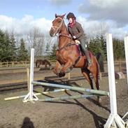 Traver Hannibal Park