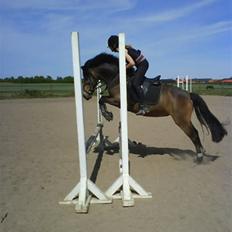 Anden særlig race Egtveds Emmely¤Solgt¤:S