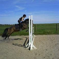 Anden særlig race Egtveds Emmely¤Solgt¤:S