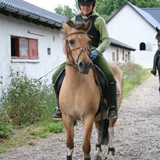 Anden særlig race Carla |  *! SOLGT :'( !*