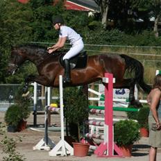 Holstener Flying Bee-Bob