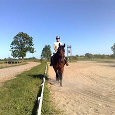 Oldenborg Porthos the Great *SOLGT*