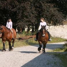 Belgier Kasper af Tveden
