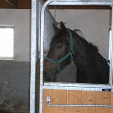 Oldenborg Gl. Hvarregårds Verona