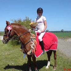 Sportsaraber (A) Barbette Troldhøj R.I.P