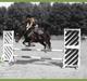 Welsh Cob (sec D) Merlyn Puzzle  |Glm P|