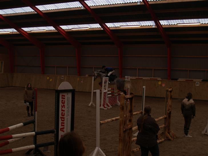 Anden særlig race Amigo(slogt d.7/5-10) billede 18
