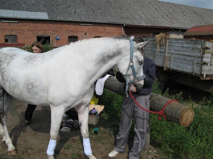 Anden særlig race Oliver - du er mit et og alt :-* billede 13