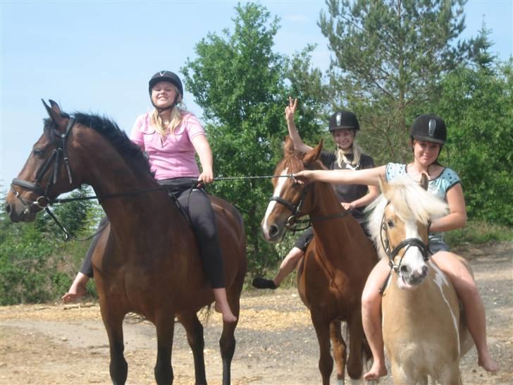 Anden særlig race Midnight Teardrop - TJEK Midnight :O:O <333 billede 8