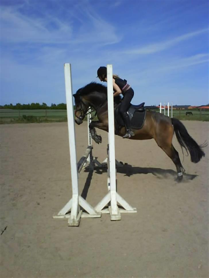 Anden særlig race Egtveds Emmely¤Solgt¤:S - endnu engang springer vi:-)<3 billede 2