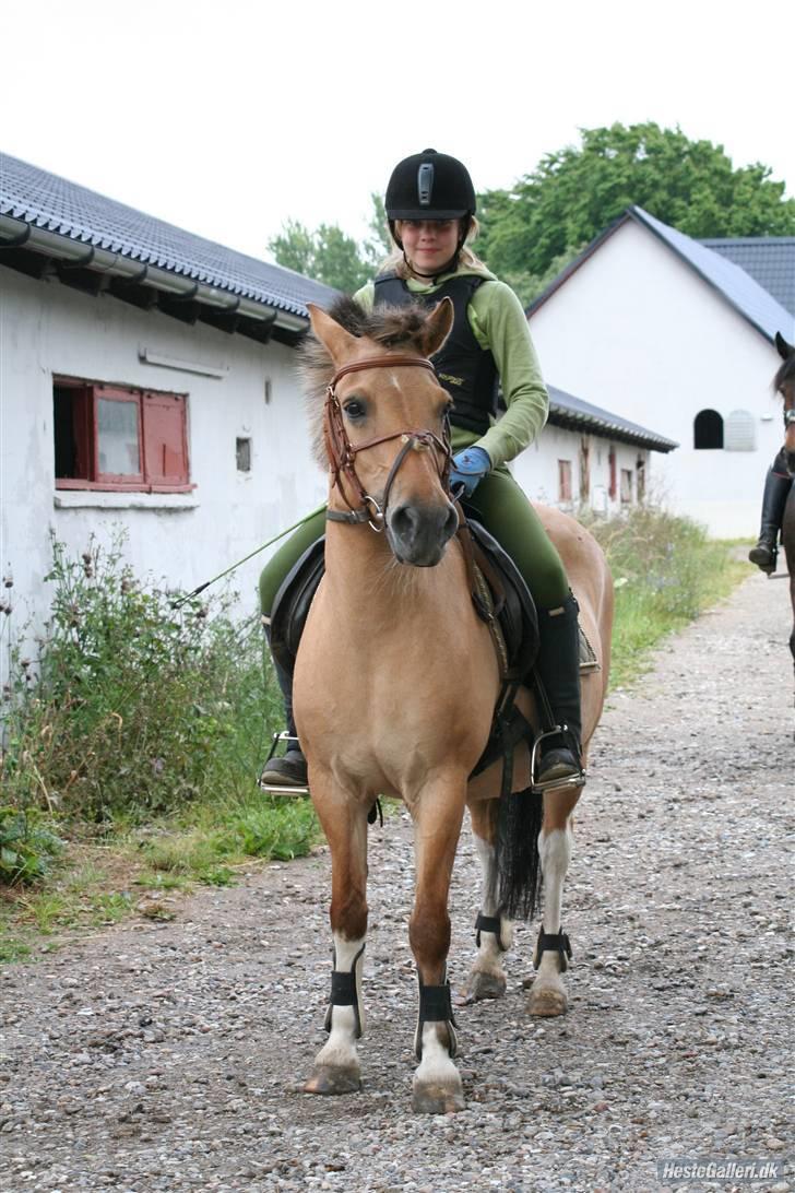 Anden særlig race Carla |  *! SOLGT :'( !* - Velkommen til Carlas profil ;) Billed Lone billede 1