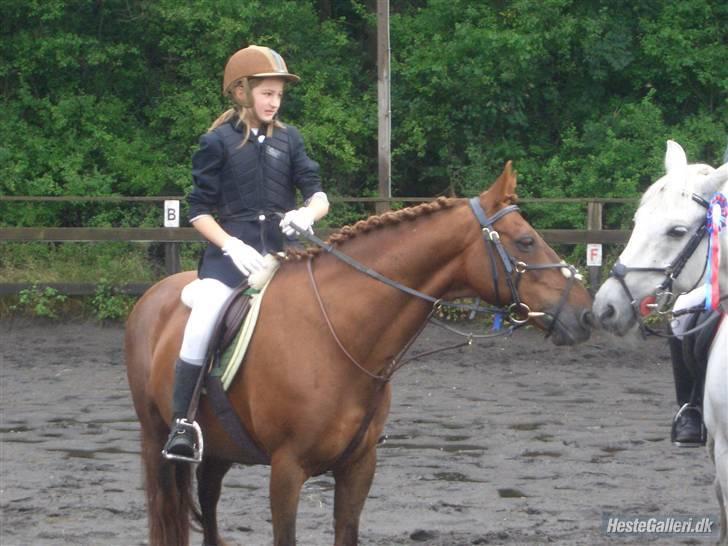 DSP zeus<3 (min egen) - Velkommen :) her siger Zeus hej til Flaspoint Hedelund <33 billede 1